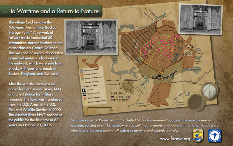 To Wartime and a Return to Nature Info Panel